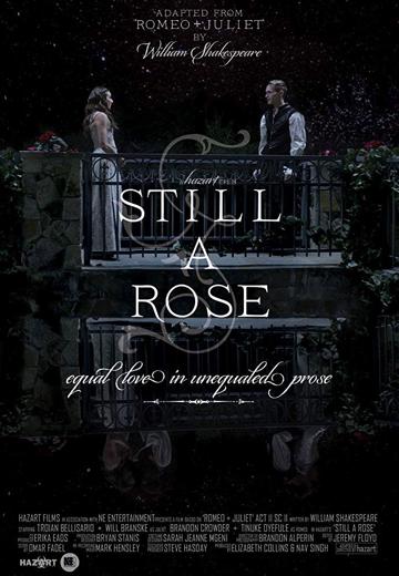 Still a Rose poszter