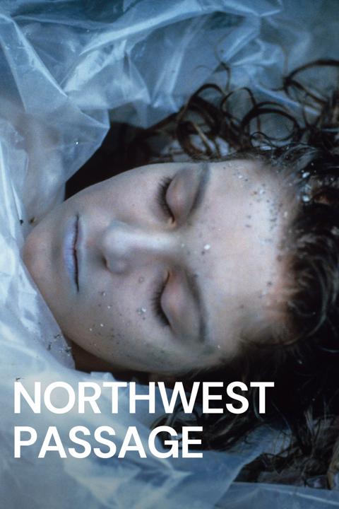 Series poster for Twin Peaks