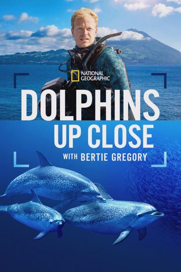 A delfinek világa Bertie Gregoryval poszter