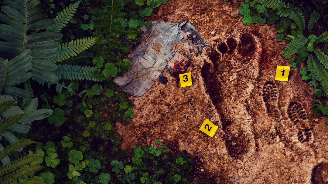 Background image for Bigfoot Took Her