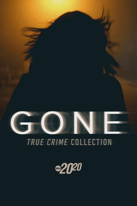 Series poster for The Gone