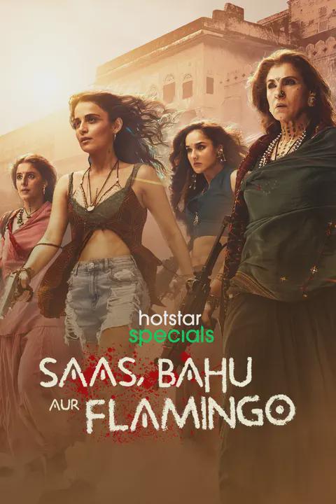 Series poster for Saas, Bahu Aur Flamingo