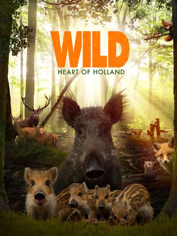 Wild poszter