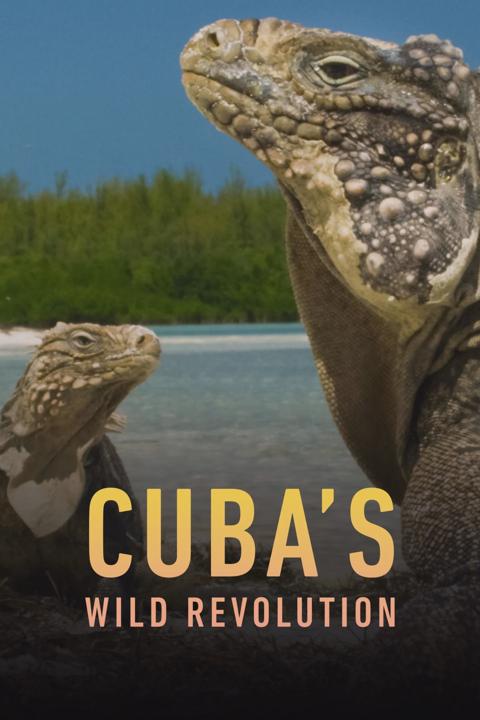 Movie poster for Cuba's Wild Revolution