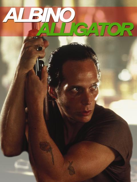 Albino Alligator