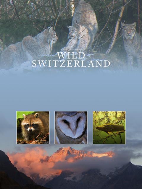 Poster för Wild Switzerland