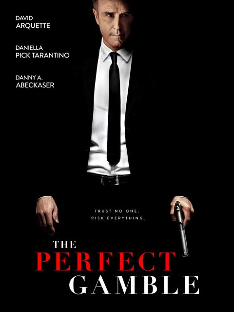 Movie poster for The Perfect Gamble
