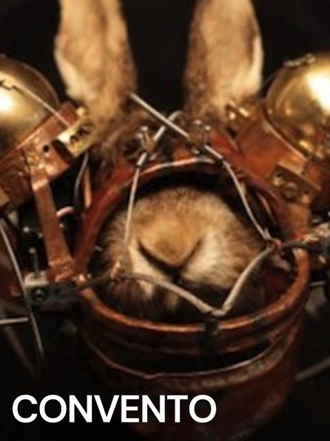 Poster för Convento