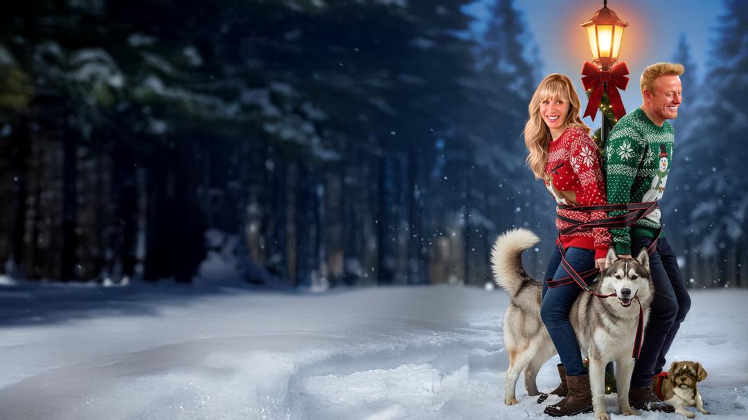 Background image for Husky Christmas