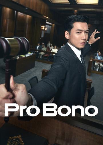 Pro Bono poszter