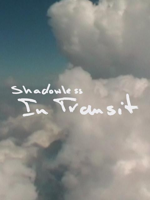 Poster för In Transit