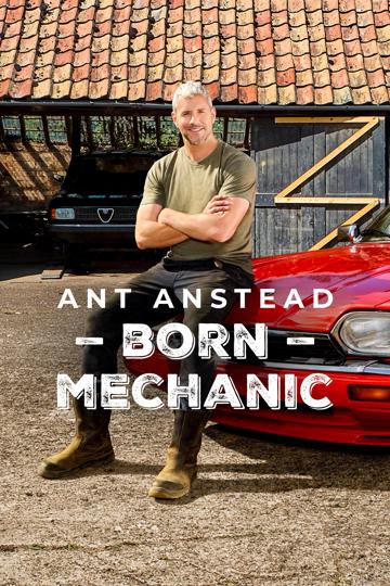 Ant Anstead - született szerelő poszter