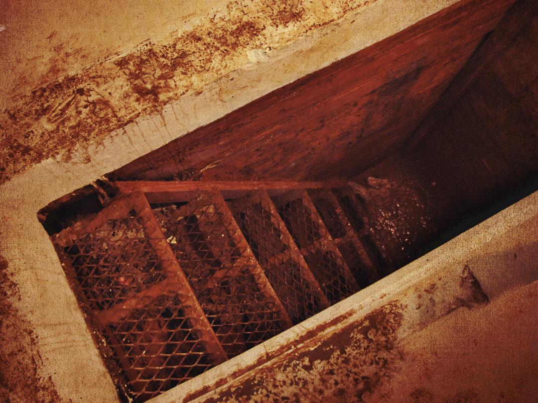Background image for The Rise and Fall of El Chapo