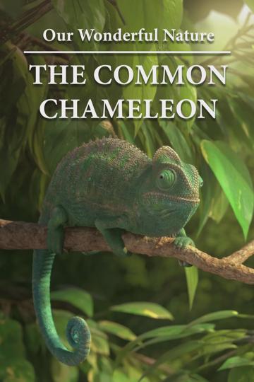 Our Wonderful Nature - The Common Chameleon poszter