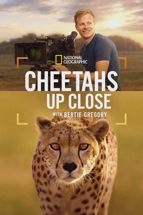 Cheetahs Up Close with Bertie Gregory