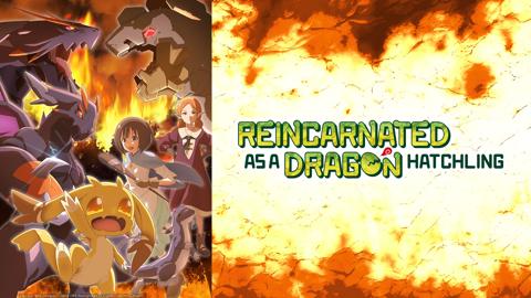 Reincarnated as a Dragon Hatchling