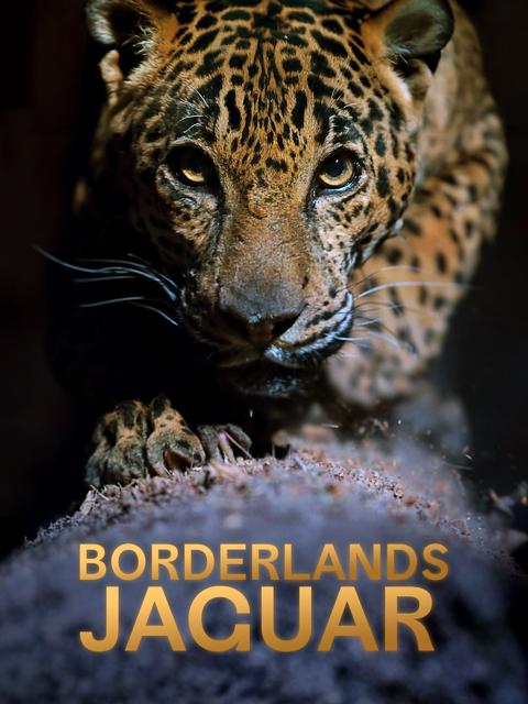 Borderlands Jaguar
