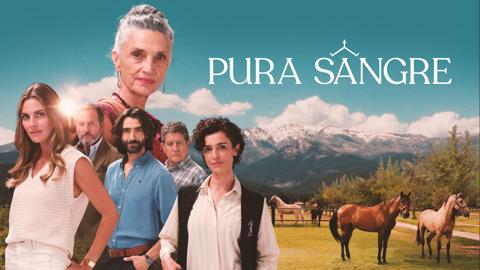 Pura sangre