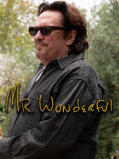 Mr. Wonderful poster