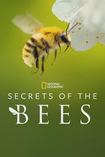 Secrets of the Bees