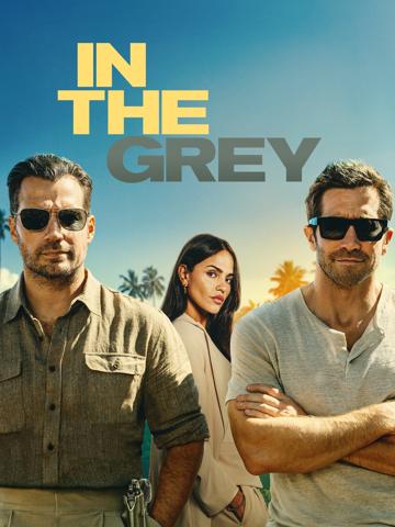 In the Grey poster