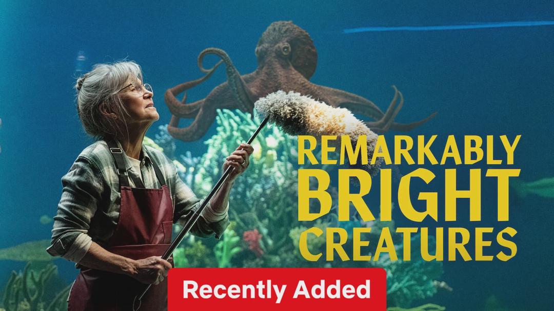 New on Netflix France — May 11–May 17, 2026