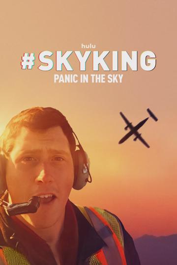 #SKYKING - Pánik az égen poszter