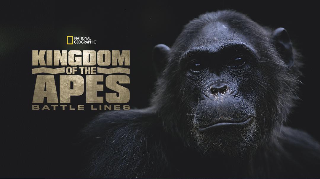 New on Disney+ US — Jun 8–Jun 14, 2026