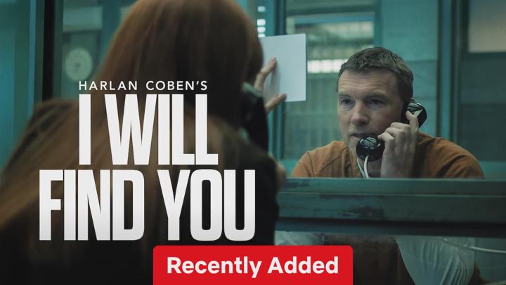 Poster of I Will Find You