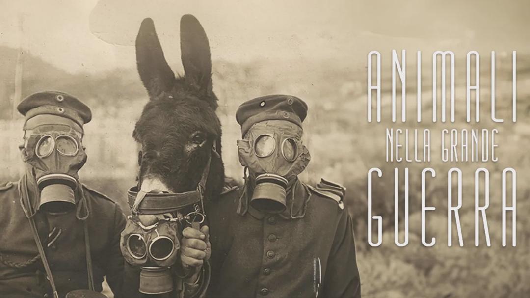 Animals in the Great War