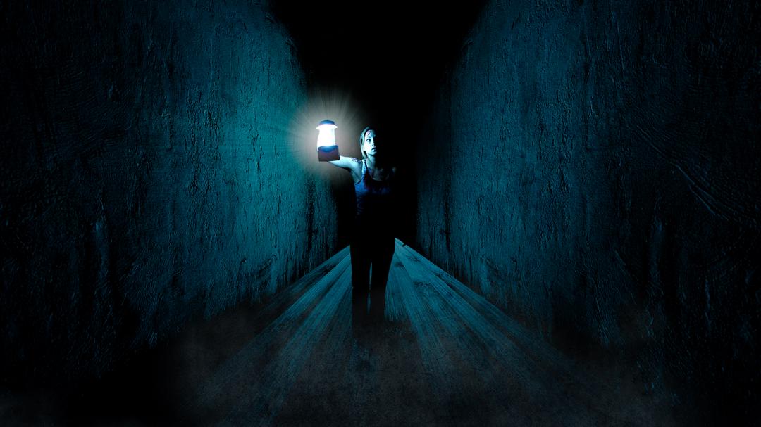 Background image for The Silent House