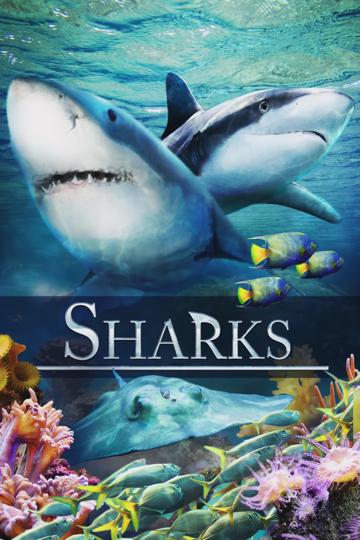 Sharks (in 3D) poszter