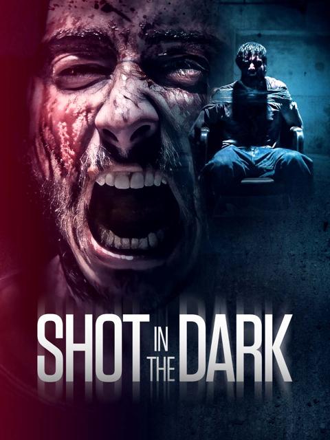 Movie poster for Shot in the Dark