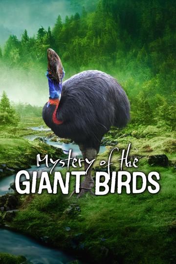Mystery of the Giant Birds poszter