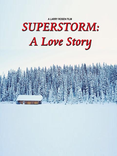 Poster för Superstorm: A Love Story