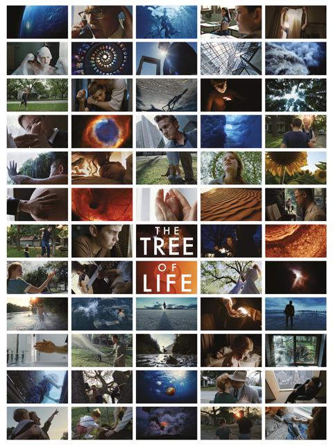 The Tree of Life