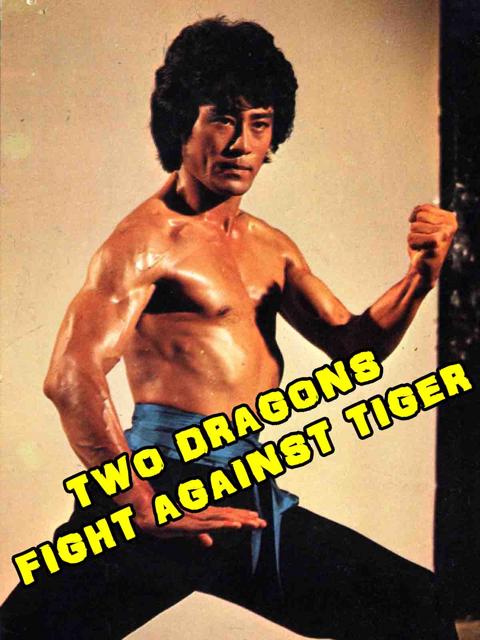 Movie poster for Kung Fu Gold