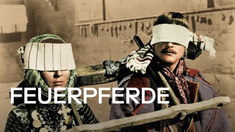 Shadows of Forgotten Ancestors