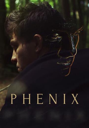 The Phoenix poszter