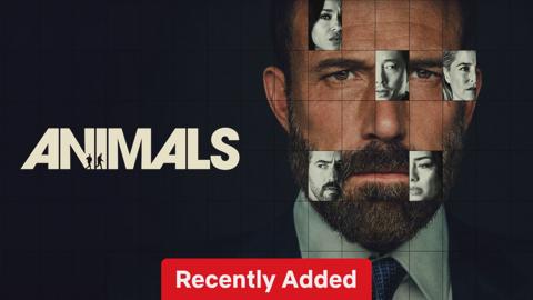 Animals — poster
