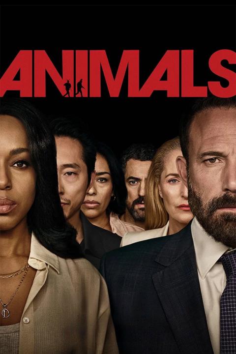 Animals poster