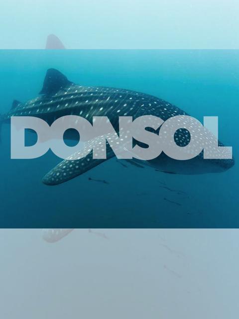 Movie poster for Donsol
