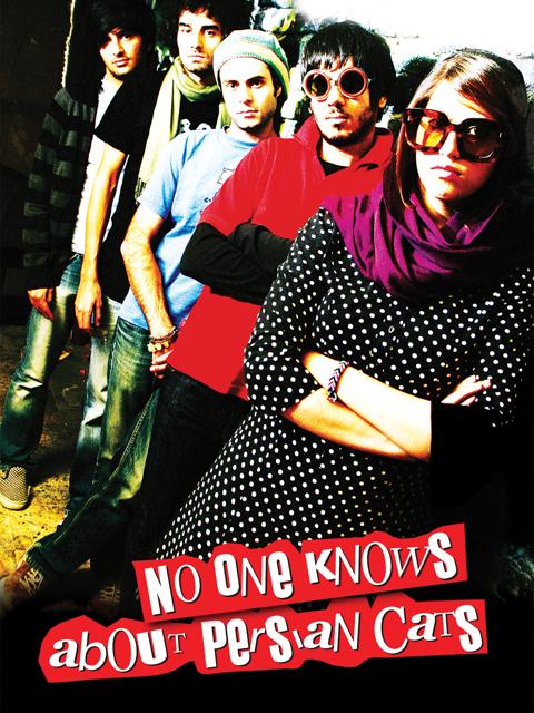 No One Knows About Persian Cats