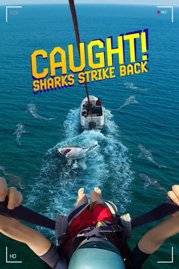 Caught! Sharks Strike Back poszter