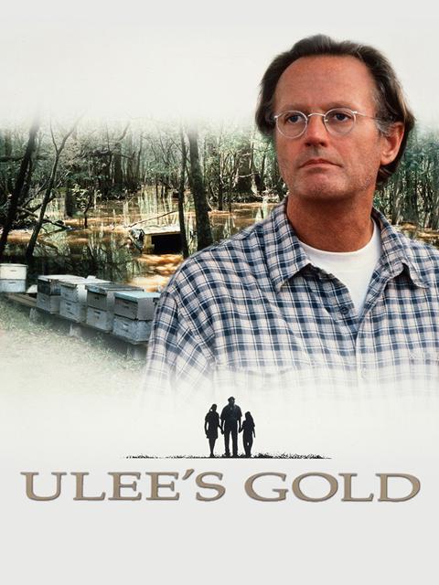 Movie poster for Ulee's Gold