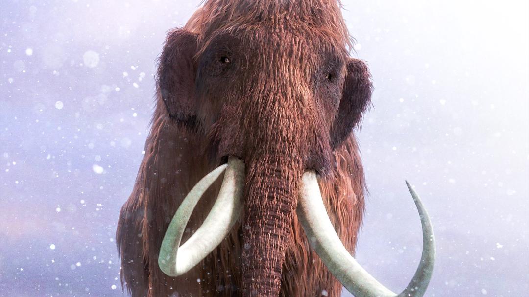 Background image for Woolly Mammoth: Secrets from the Ice