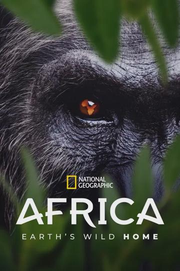 Afrika: A Föld vad otthona poszter
