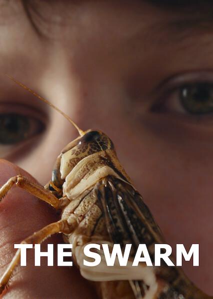 The Swarm