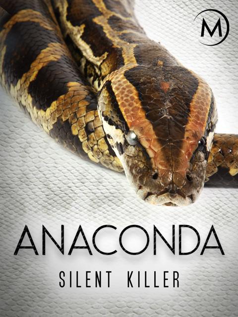Poster för Anaconda: Silent Killer