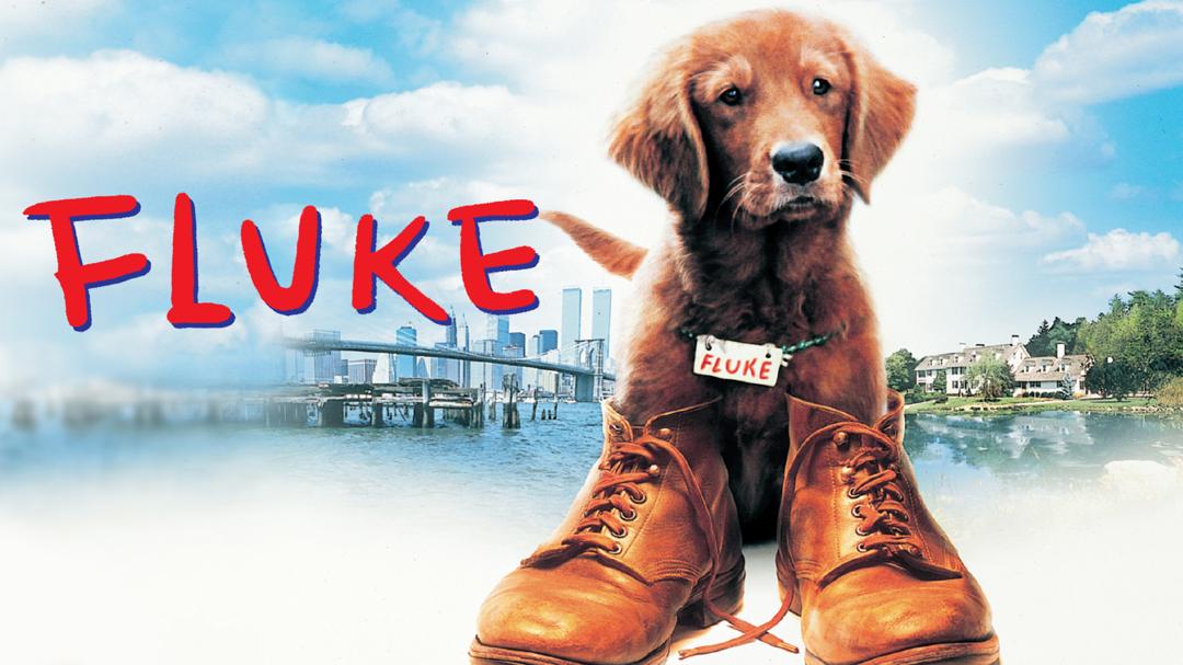 Fluke